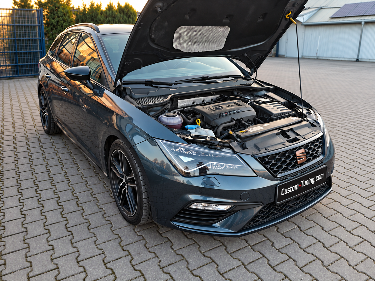 Cupra Leon 2.0 TSI 300HP --> 429HP